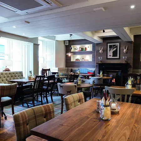 Royal Oak At 4*