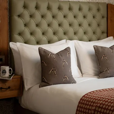 Hotel Royal Oak At 4*